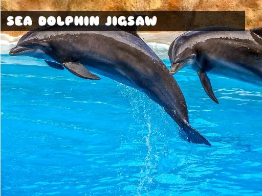 Sea Dolphin Jigsaw — play free online