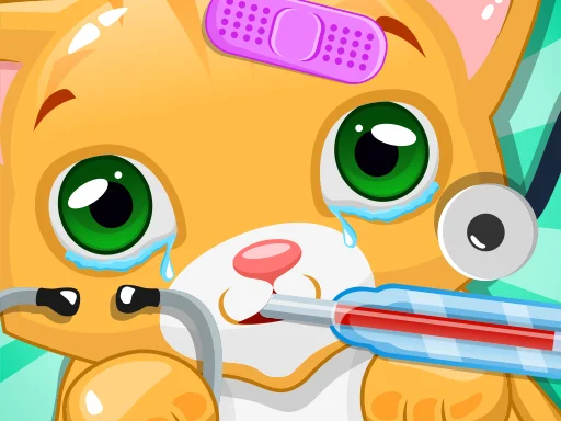 Kitty Doctor — play free online